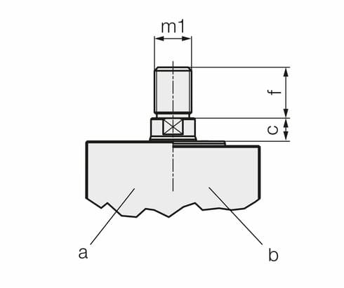 Piston with external thread | a: without centring collar | b: with centring collar